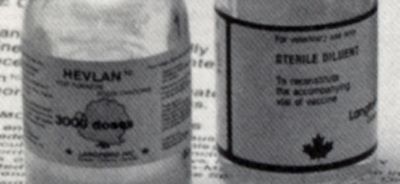 close up of glass vaccine vials showing Hevlan label