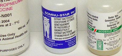 close up of three plastic vaccine bottles showing labels