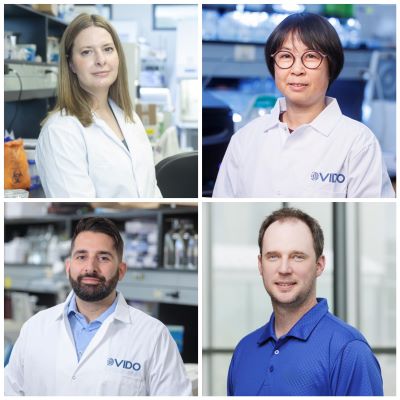 collage of headshots for two female and two male scientists