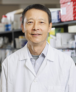 Picture of Dr. Qiang Liu