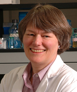 Picture of Dr. Sylvia van den Hurk