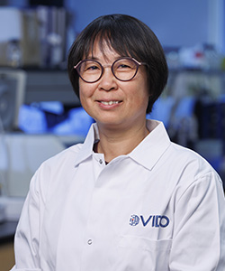 Picture of Dr. Yan Zhou